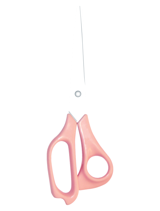 Household Scissors gem classic